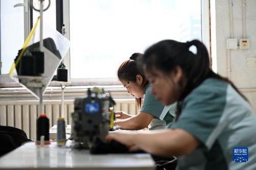 汉欧厂员工爆料视频,揭秘工厂内部真实情况 第3张 汉欧厂员工爆料视频,揭秘工厂内部真实情况 第3张