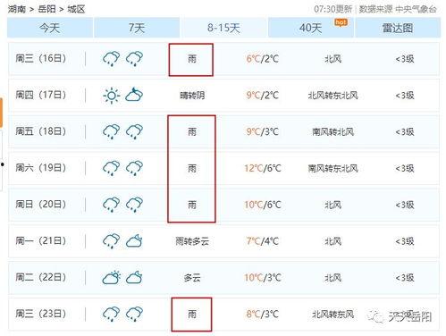 岳阳市最新爆料消息公布,揭秘重大事件背后真相  第3张